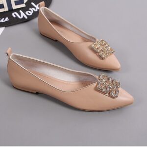 Brown Obsidian Flat Shoe