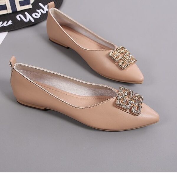 Brown Obsidian Flat Shoe